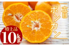 【2025年1月より発送】高知県産 立目 ぽんかん みかん 柑橘 特上品 10kg 贈答用 KJS015