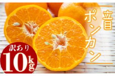 【2025年1月より発送】高知県産 立目 ぽんかん みかん 柑橘  訳あり 10kg 特上品 贈答用大小混合品 KJS017-x