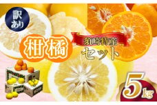 定期便 3回 限定150セット 須崎特産柑橘 家庭用大小混合品 各 5kg ポンカン 土佐文旦 小夏 計 15kg 時期人気 旬 柑橘 フルーツ 果物 高知 須崎 KJS7000