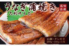 うなぎ 鰻 蒲焼 約 200g × 2尾 高知県 産 蒲焼き タレ 付き 魚 魚介類 海鮮 国産 国産ウナギ 小分け 便利 土用の丑の日 丑の日 セット 高知 須崎市 ウナギ ふるさと納税 人気 ふるさと納税うなぎ ふるさと納税鰻