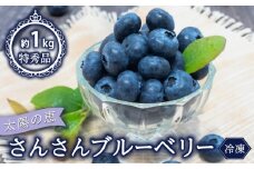 【早期予約開始!!2026年5月頃より順次発送】【特秀品】 ブルーベリー 500g × 2パック 合計 1kg 冷凍 健康 食品 果物 フルーツ ベリー そのまま おやつ 加工 お菓子 製菓 シャーベット ジャム ソース スムージー いちかわファーム 高知県 須崎市 IF001_x