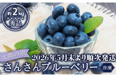 【早期予約開始!!2026年5月末より順次発送】【秀品】ブルーベリー 500g × 4 パック 冷凍 健康 食品 果物 フルーツ ベリー そのまま おやつ 朝食 加工 お菓子 製菓 シャーベット ジャム ソース スムージー いちかわファーム 高知県 須崎市 IF003