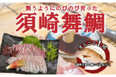 お 刺身 タイ 鯛 真鯛 まるごと 1尾 フィーレ 柵 400 ~ 500g 冷蔵 下処理済 鯛茶漬け 鯛めし 刺し身 鯛しゃぶ 高級 鮮魚 鯛の塩釜 高知県 須崎市