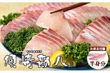 高級カンパチ ｢須崎勘八｣ お刺身用(半身)  冷蔵 神経締め 刺身 お刺し身 高級魚 鮮魚 海鮮 魚介 かんぱち 一柵