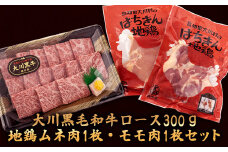 肉 牛肉 国産 黒毛 和牛 ロース 300g 鶏肉 もも むね お得 パック 詰め合わせ 土佐はちきん地鶏 希少 幻の大川黒毛和牛 ブランド鶏 土佐はちきん地鶏 高知県 須崎市