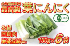 葉 ニンニク 150g×6袋 冷凍 有機栽培 有機野菜 無農薬 健康食品 有機 JAS 認定 高知県産 須崎市