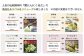 お品は和風タイプ20ml×6袋×２種、洋風タイプ：25ml×6袋×２種になります。冷凍ですので自然解凍or流水解凍でご使用下さい
