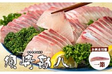 高級カンパチ ｢須崎勘八｣ 1節 約0.3～0.4kg 冷蔵 神経締め 刺身 お刺し身 高級魚 鮮魚 海鮮 魚介 かんぱち