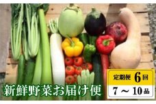 定期便 全 6回 6ヶ月 年末年始限定 半年 定期便 季節 旬の 野菜 7 ～ 10 品 詰め合わせ セット 小松菜 大根 だいこん トマト パプリカ ピーマン にんじん 人参 かぼちゃ きゅうり ししとう なす みょうが 頒布会 高知県 須崎市