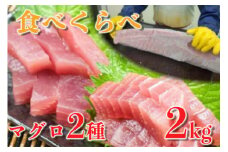 訳あり メバチマグロ ハランボ 1kg キハダマグロ 赤身 1kg 食べ比べ セット マグロ まぐろ 鮪 ハラミ 腹身 高知 須崎 TY0261