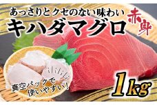 訳あり 大満足！もちもちキハダマグロ赤身1kg TY027-2x