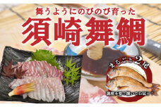 漁師自慢の逸品「須崎舞鯛」 お刺身用 2匹分 鯛 タイ たい 人気 刺身 高知 須崎