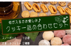 特製クッキー お楽しみ詰め合わせ セット きなこ 黒ごま いちご ブルー ベリージャム ココア 紅茶 クッキー 高知県 須崎市 お菓子 焼き菓子
