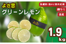 種無し よさ恋グリーンレモン 10~12個入 約1.9kg 家庭用 レモン 防腐剤 不使用 レモン 檸檬 国産 新鮮 国産檸檬 国産レモン 果物 くだもの 希少 高級 健康 フルーツ 産地直送 数量限定 高知県 須崎市