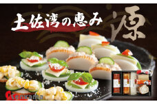 カマボコ 練り物 ねりもの 蒲鉾 すり身 土佐湾の恵み ｢源｣ かまぼこ 詰め合わせ セット 5種 贈答 プレゼント ギフト 高知県 須崎市