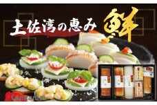カマボコ 練り物 ねりもの 蒲鉾 すり身 土佐湾の恵み ｢鮮｣ かまぼこ 詰め合わせ セット 6種 贈答 プレゼント ギフト 高知県 須崎市