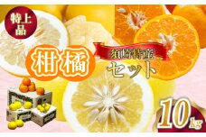 定期便 3回 限定25セット ポンカン 土佐文旦 小夏 各 10kg 特上品 須崎特産 みかん ミカン 立目ぽんかん 土佐文旦 ぶんたん 柑橘 贈り物 プレゼント 計 30kg 箱セット 季節限定 数量限定 時期限定 KJS9000