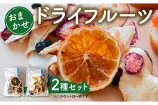 ドライフルーツ おまかせ ２種 セット 手作り 無添加 旬 フルーツ 果物 次郎柿 柿 ブラッドオレンジ みかん レモン いちご ブルーベリー 新高梨 梨 なし りんご TJ0081