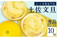 【2026年2月上旬から発送】 文旦 高知 10kg 秀品 3L 4L 浦ノ内特産 早期予約 予約受付中 期間限定 季節限定 限定 旬 みかん ミカン ぶんたん 高知県 土佐文旦 柑橘 贈答 お土産 KN001