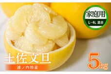 【早期予約開始!!2026年2月頃より順次発送】【訳あり】 浦ノ内特産 家庭用 土佐文旦 5kg L ～ 4L サイズ 混合 | 果物 フルーツ 文旦 ぶんたん ブンタン みかん 蜜柑 柑橘 文旦 5キロ 人気 ランキング 数量限定 期間限定 早期予約産地直送 生産農家直送 明神果樹園 高知県 須崎市 MKJ008_xx