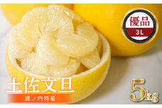 【早期予約開始!!2026年2月頃より順次発送】浦ノ内特産 土佐文旦 5kg 優品 3L サイズ | 果物 フルーツ 文旦 ぶんたん ブンタン みかん 蜜柑 柑橘 文旦 大玉 5キロ 人気 ランキング 数量限定 期間限定 早期予約産地直送 生産農家直送 明神果樹園 高知県 須崎市 MKJ007_xx