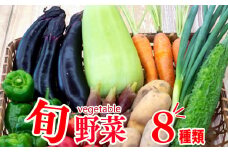 野菜  8 品目 | お楽しみ やさい セット 旬 春 夏 秋 冬 採れたて 新鮮 農家 直送 詰め合わせ 国産 季節 フレッシュ きゅうり ピーマン なす トマト 大根 白菜 高知県 須崎市 ME062_x