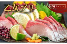 乙女 ブリ 700 ~ 900g ブランド 鰤 ブリ ぶり 乙女ブリ しゃぶ 切り身 フィーレ カマ付き 高知県 須崎市 高知 鰤 年末 正月 ギフト 贈り物 KS0311-x