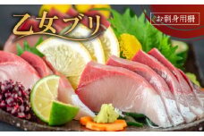 乙女 ブリ 800 ~ 1000 g ブランド 新鮮 鰤  ぶり ブリ しゃぶ 切り身 高知県 須崎市 高知 鰤 年末 正月 新鮮 鮮魚 魚（ 下処理有 ）KS0321-x