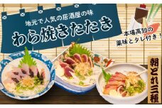 本場高知の藁焼き３種セット (かつお･カンパチ･旬の鮮魚) 土佐 高知県産 須崎市 IRY003