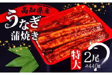高知県産 うなぎ 蒲焼 220g×2尾 セット 養殖 鰻 うなぎ 蒲焼き かば焼き かばやき 惣菜 冷凍 真空パック 簡単調理 ME0631_x
