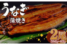 有頭 うなぎ 蒲焼 2尾 240g以上（ 120g～140g × 2尾 ） | 鰻 ウナギ 蒲焼 蒲焼き 大人気 タレ スタミナ 夏バテ 小分け 真空包装 冷凍 台湾産 養殖 高知県 須崎市 ME065_x