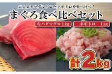 まぐろ 食べ比べ (赤身 ネギトロ) 小分け 真空パック 冷凍 マグロ 鮪 マグロのたたき TY030