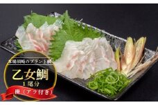 鯛 刺身 1匹分 ( 約900g~1kg )  アラ付き 柵 産地直送 高知県 乙女鯛 小島水産 ブランド 新鮮 冷蔵 真鯛 冷蔵  タイ 高級魚 鮮魚 魚介 海鮮 贈答 ギフト 贈り物 祝い 記念日 中元 歳暮 KS037