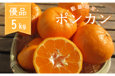 【2025年1月より順次発送】 浦ノ内 ポンカン5㎏ 優品 KG012