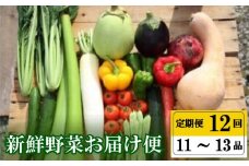 定期便  全 12回 12ヶ月 年末年始限定 季節 旬の 野菜 11 ～ 13品 プレミアム 詰め合わせ セット 小松菜 大根 だいこん トマト パプリカ ピーマン にんじん 人参 かぼちゃ きゅうり ししとう なす みょうが 頒布会 高知県 須崎市
