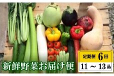 定期便  全 6回 6ヶ月 年末年始限定 半年 プレミアム 定期便 季節 旬の 野菜 詰め合わせ セット 11 ～ 13 品  小松菜 大根 だいこん トマト パプリカ ピーマン にんじん 人参 かぼちゃ きゅうり ししとう なす みょうが 頒布会 高知県 須崎市