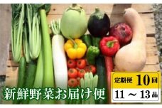 定期便 年末年始限定 全 10回 10ヶ月 定期便 プレミアム 季節 旬の 高知 の 野菜 詰め合わせ セット 11 ～ 13 品 小松菜 大根 だいこん トマト パプリカ ピーマン にんじん 人参 かぼちゃ きゅうり ししとう なす みょうが 頒布会 高知県 須崎市