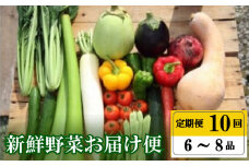 定期便 年末年始限定 全 10回 10ヶ月 定期便 季節 旬の 高知 の 野菜 詰め合わせ セット 6 ～ 8 品 小松菜 大根 だいこん トマト パプリカ ピーマン にんじん 人参 かぼちゃ きゅうり ししとう なす みょうが 頒布会 高知県 須崎市