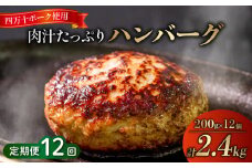 12ヶ月定期便 四万十ポーク入りハンバーグ 2.4kg(200g×12個) 冷凍 真空 小分け 個包装 肉汁たっぷり ハンバーグ 大容量 ハンバーグ 合挽き ハンバーグ 牛肉 ハンバーグ 豚肉 ハンバーグ  お弁当 おかず 惣菜 晩ごはん 贅沢 SNM2000