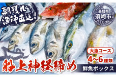 【 船上 神経締め 鮮魚 ボックス 】朝獲れ 直送 大漁コース (2025年11月出荷) 冷蔵 魚種お任せ 水揚げ 海鮮 魚介 産地直送 新鮮 天然 魚 詰め合わせ