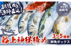 【船上神経締め鮮魚ボックス】朝獲れ直送 3~5種入り （2025年10月出荷）冷蔵 魚種お任せ 水揚げ 海鮮 魚介 産地直送 新鮮 天然 魚 詰め合わせ