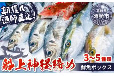 【船上神経締め鮮魚ボックス】朝獲れ直送 3~5種入り （2025年12月出荷) 冷蔵 魚種お任せ 水揚げ 海鮮 魚介 産地直送 新鮮 天然 魚 詰め合わせ