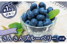 【早期予約開始!!2026年5月末より順次発送】【訳あり】 ブルーベリー 500g x 2 パック 合計 1kg 冷凍 健康 食品 果物 フルーツ ベリー そのまま おやつ 朝食 加工 お菓子 製菓 シャーベット ジャム ソース スムージー いちかわファーム 高知県 須崎市 IF008