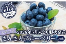 【早期予約開始!!2026年5月末より順次発送】【訳あり】 ブルーベリー 500g x 2 パック 合計 1kg 冷凍 健康 食品 果物 フルーツ ベリー そのまま おやつ 朝食 加工 お菓子 製菓 シャーベット ジャム ソース スムージー いちかわファーム 高知県 須崎市 IF008
