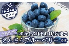 【早期予約開始!!2026年5月末より順次発送】【訳あり】 ブルーベリー 500g x 6 パック 合計 3kg 冷凍 健康 食品 果物 フルーツ ベリー そのまま おやつ 朝食 加工 お菓子 製菓 シャーベット ジャム ソース スムージー いちかわファーム 高知県 須崎市 IF010