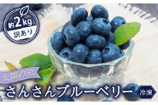 【早期予約開始!!2026年5月末より順次発送】【訳あり】 ブルーベリー 500g x 4 パック 合計 2kg 冷凍 健康 食品 果物 フルーツ ベリー そのまま おやつ 朝食 加工 お菓子 製菓 シャーベット ジャム ソース スムージー いちかわファーム 高知県 須崎市 IF009