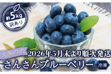 【早期予約開始!!2026年5月末より順次発送】【訳あり】 ブルーベリー 5 kg x 1 パック 合計 5kg 冷凍 健康 食品 果物 フルーツ ベリー そのまま おやつ 朝食 加工 お菓子 製菓 シャーベット ジャム ソース スムージー いちかわファーム 高知県 須崎市 IF011