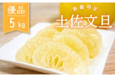 【2026年2月より順次発送】 土佐文旦 5kg 優品 柑橘 みかん フルーツ 北川果樹園 KG015