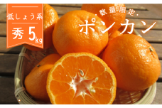 【2025年1月下旬より順次発送】 浦ノ内 ポンカン【低しょう系】 5kg 秀品 KG014