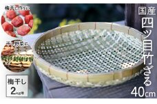 国産四ツ目竹ざる 40cm 梅干しざる 干し野菜 TT096